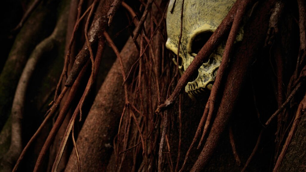a skull in the trees to represent a horror trope