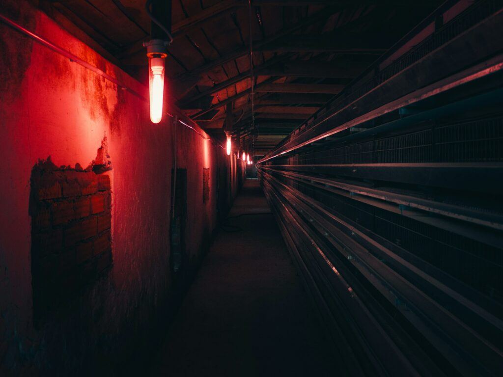 the role of unreliable narrators in psychological horror 