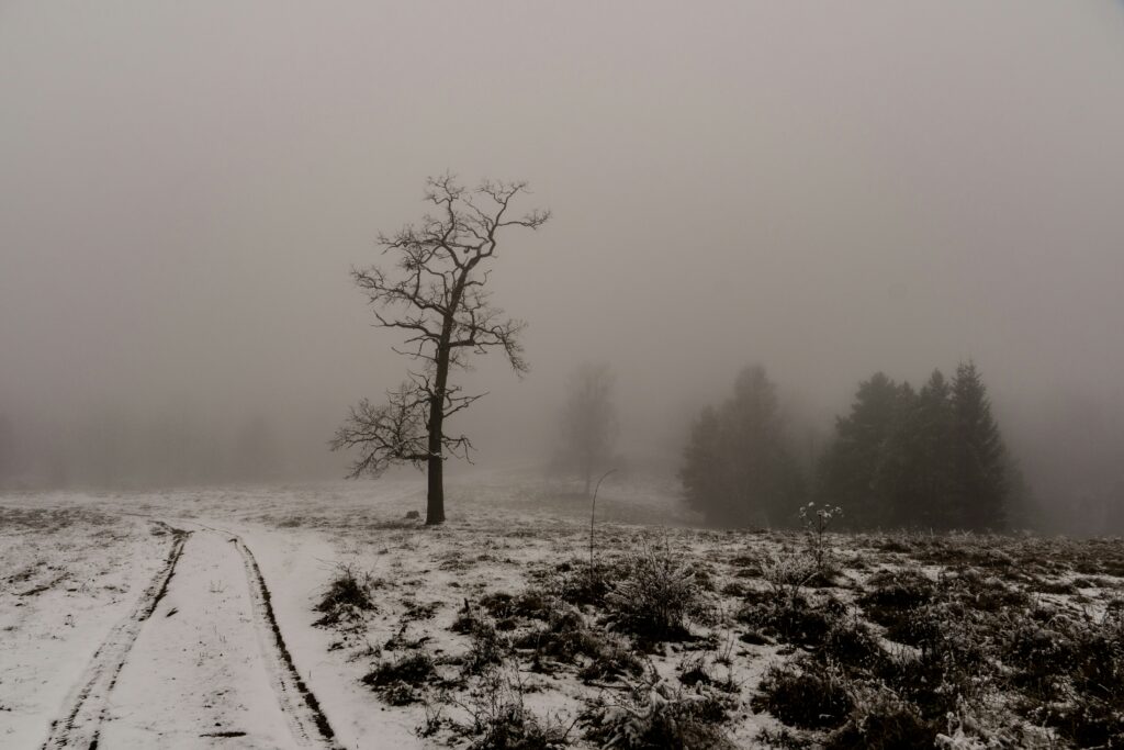 why is found footage horror so scary